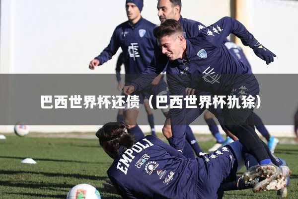 巴西世界杯还债（巴西世界杯犰狳）